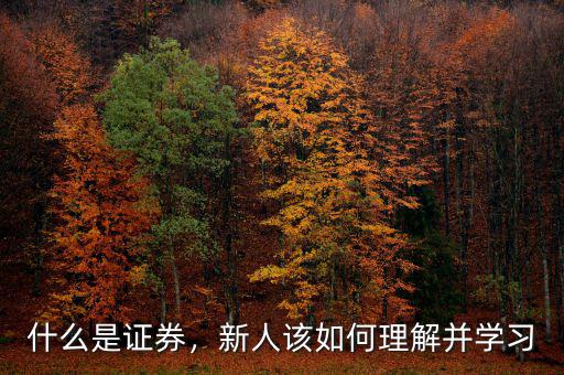 什么是證券，新人該如何理解并學習