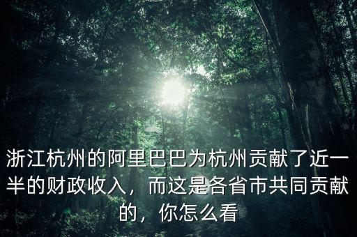 浙江杭州的阿里巴巴為杭州貢獻了近一半的財政收入，而這是各省市共同貢獻的，你怎么看