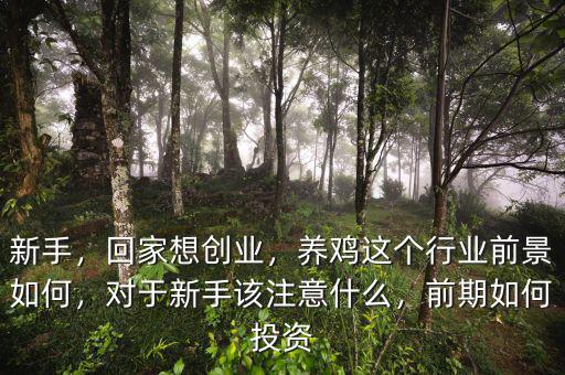 新手，回家想創(chuàng)業(yè)，養(yǎng)雞這個(gè)行業(yè)前景如何，對于新手該注意什么，前期如何投資