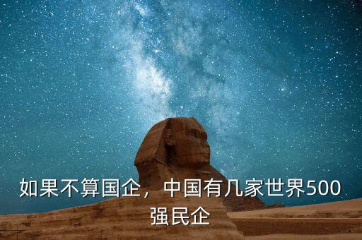 如果不算國企，中國有幾家世界500強(qiáng)民企