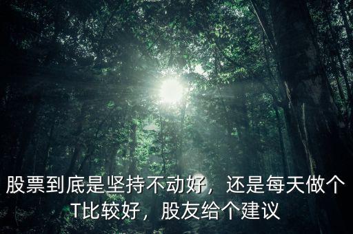 股票到底是堅(jiān)持不動(dòng)好，還是每天做個(gè)T比較好，股友給個(gè)建議