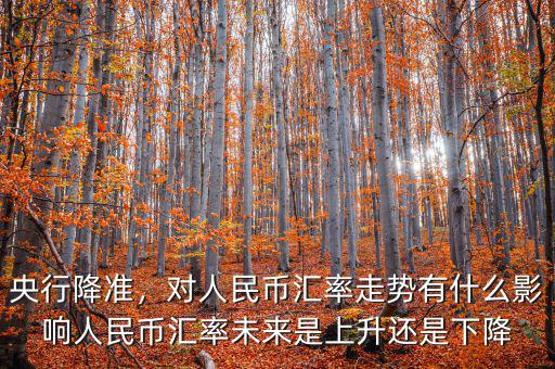 央行降準，對人民幣匯率走勢有什么影響人民幣匯率未來是上升還是下降