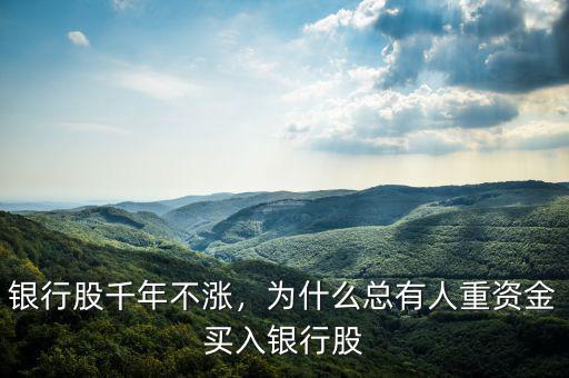 銀行股千年不漲，為什么總有人重資金買入銀行股