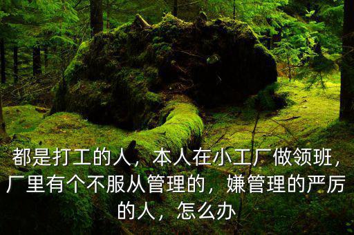 都是打工的人，本人在小工廠做領(lǐng)班，廠里有個(gè)不服從管理的，嫌管理的嚴(yán)厲的人，怎么辦