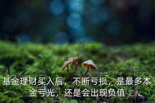 基金理財(cái)買入后，不斷虧損，是最多本金虧光，還是會(huì)出現(xiàn)負(fù)值