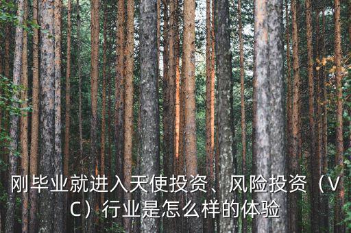 怎么進(jìn)入vc行業(yè),行業(yè)是怎么樣的體驗