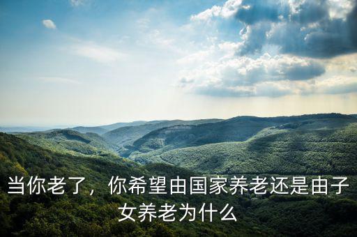當(dāng)你老了，你希望由國家養(yǎng)老還是由子女養(yǎng)老為什么