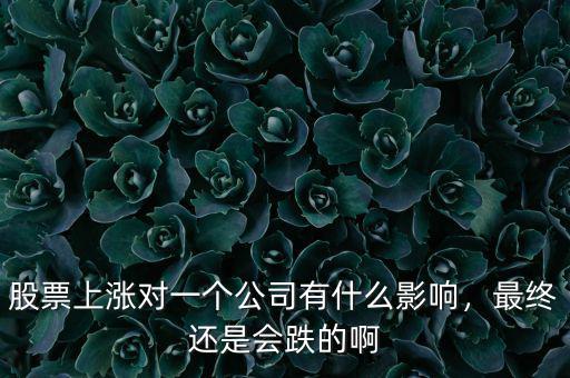股票上漲對一個公司有什么影響，最終還是會跌的啊
