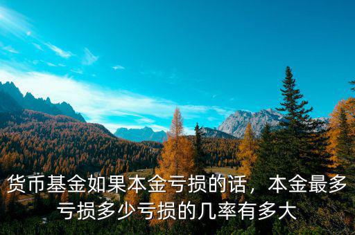 貨幣基金如果本金虧損的話，本金最多虧損多少虧損的幾率有多大
