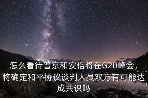 怎么看待普京和安倍將在G20峰會(huì)，將確定和平協(xié)議談判人員雙方有可能達(dá)成共識(shí)嗎