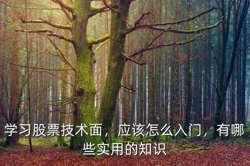 學(xué)習(xí)股票技術(shù)面，應(yīng)該怎么入門，有哪些實用的知識