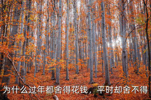 為什么過年都舍得花錢，平時卻舍不得