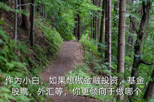作為小白，如果想做金融投資，基金，股票，外匯等，你更傾向于做哪個(gè)
