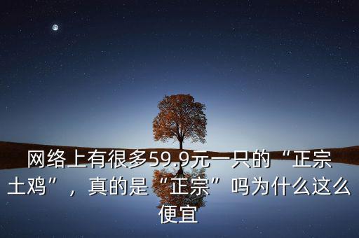 網(wǎng)絡上有很多59.9元一只的“正宗土雞”，真的是“正宗”嗎為什么這么便宜