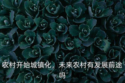 農(nóng)村開始城鎮(zhèn)化，未來農(nóng)村有發(fā)展前途嗎