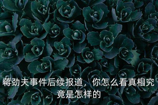 蔣勁夫事件后續(xù)報(bào)道，你怎么看真相究竟是怎樣的