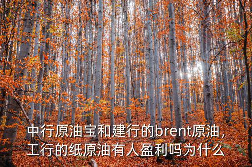 中行原油寶和建行的brent原油，工行的紙?jiān)陀腥擞麊釣槭裁? class=