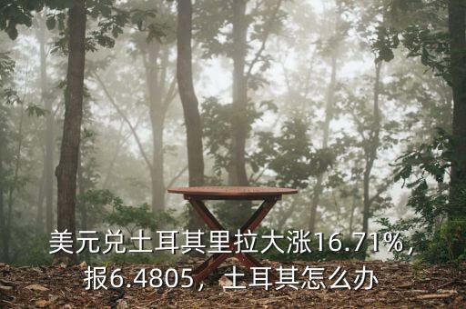 美元兌土耳其里拉大漲16.71%，報6.4805，土耳其怎么辦