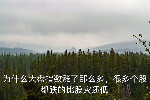 為什么大盤指數(shù)漲了那么多，很多個股都跌的比股災還低