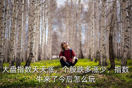 大盤指數(shù)天天漲，個股跌多漲少，指數(shù)牛來了今后怎么玩