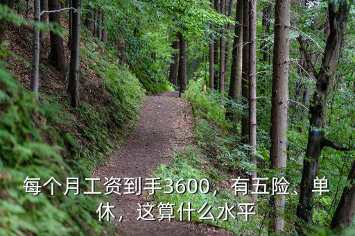 每個(gè)月工資到手3600，有五險(xiǎn)、單休，這算什么水平