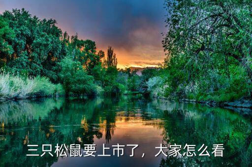 三只松鼠要上市了，大家怎么看