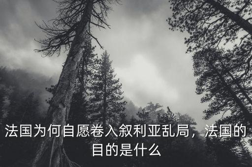 法國為何自愿卷入敘利亞亂局，法國的目的是什么