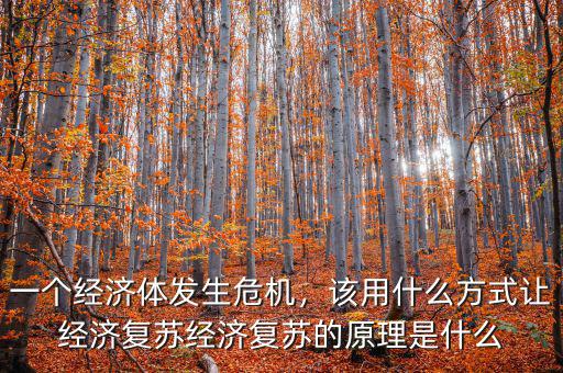 一個經(jīng)濟體發(fā)生危機，該用什么方式讓經(jīng)濟復蘇經(jīng)濟復蘇的原理是什么