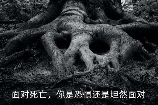 面對死亡，你是恐懼還是坦然面對
