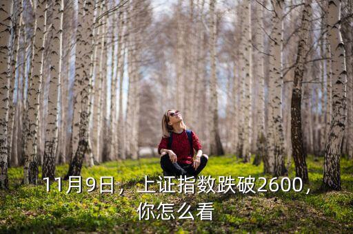 預(yù)測(cè)11月9上證指數(shù)多少,11月9日大盤市場走勢(shì)如何