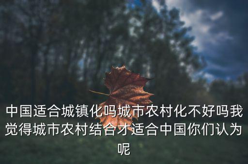 中國適合城鎮(zhèn)化嗎城市農村化不好嗎我覺得城市農村結合才適合中國你們認為呢