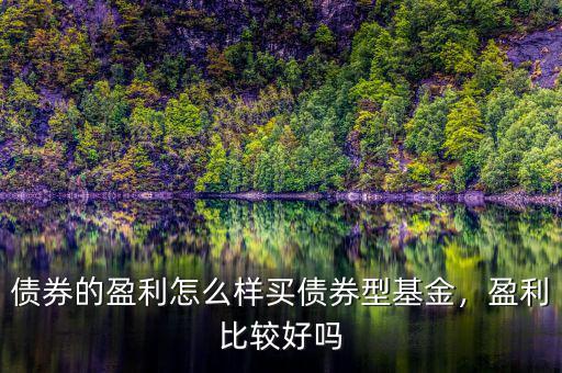 債券的盈利怎么樣買債券型基金，盈利比較好嗎