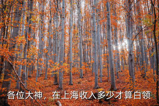各位大神，在上海收入多少才算白領(lǐng)