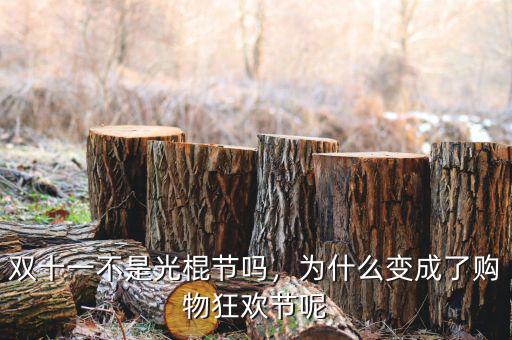 雙十一不是光棍節(jié)嗎，為什么變成了購物狂歡節(jié)呢