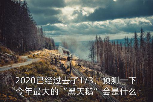 2020已經(jīng)過去了1/3，預(yù)測(cè)一下今年最大的“黑天鵝”會(huì)是什么