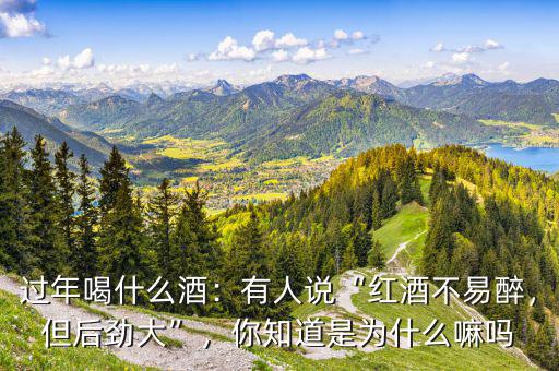 過年喝什么酒：有人說“紅酒不易醉，但后勁大”，你知道是為什么嘛嗎