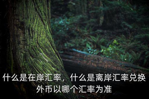 什么是在岸匯率，什么是離岸匯率兌換外幣以哪個匯率為準