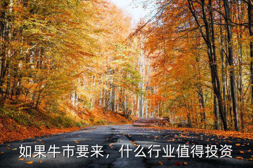 如果牛市要來，什么行業(yè)值得投資