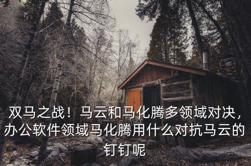 雙馬之戰(zhàn)！馬云和馬化騰多領(lǐng)域?qū)Q，辦公軟件領(lǐng)域馬化騰用什么對(duì)抗馬云的釘釘呢
