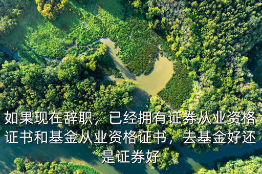 如果現(xiàn)在辭職，已經(jīng)擁有證券從業(yè)資格證書和基金從業(yè)資格證書，去基金好還是證券好