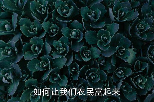 農(nóng)民什么時候能富起來,農(nóng)民富起來的標(biāo)準(zhǔn)是什么