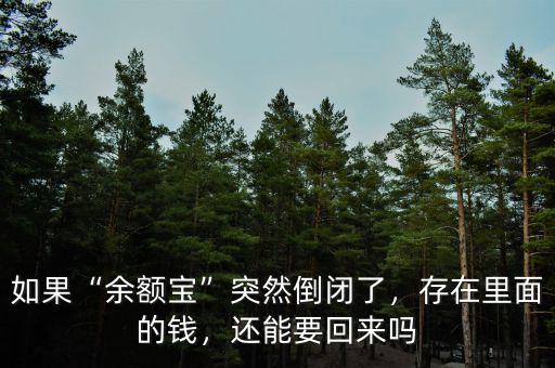 如果“余額寶”突然倒閉了，存在里面的錢，還能要回來嗎