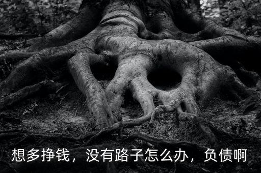 想多掙錢，沒(méi)有路子怎么辦，負(fù)債啊