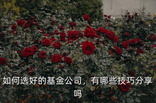 如何選好的基金公司，有哪些技巧分享嗎