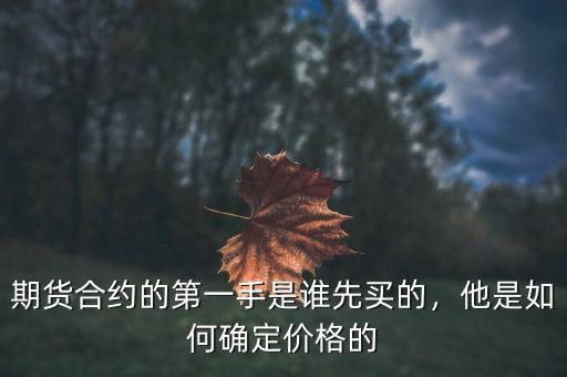 期貨合約的第一手是誰(shuí)先買的，他是如何確定價(jià)格的