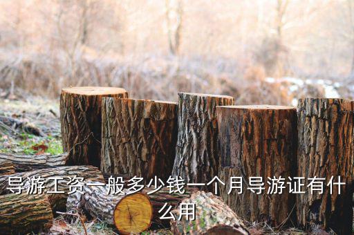 海南導(dǎo)游月收入多少,導(dǎo)游工資一般多少錢(qián)一個(gè)月