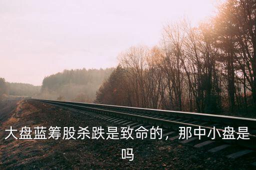大盤(pán)藍(lán)籌股殺跌是致命的，那中小盤(pán)是嗎
