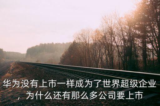 華為沒有上市一樣成為了世界超級企業(yè)，為什么還有那么多公司要上市