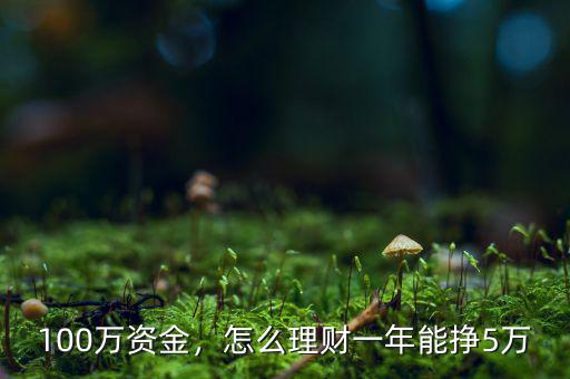 100萬資金，怎么理財一年能掙5萬