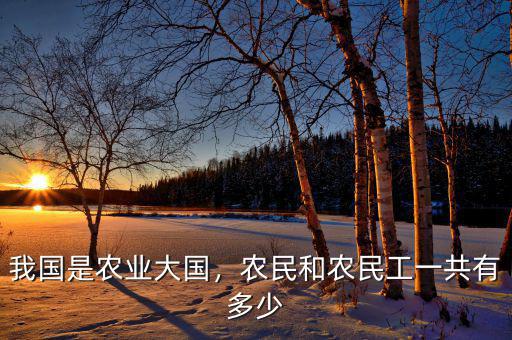 我國是農(nóng)業(yè)大國，農(nóng)民和農(nóng)民工一共有多少